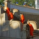 pexels-sarath-de-vass-gunawardane-3523665-5292582