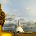 tharaka-jayasuriya-J_QFbakDiYQ-unsplash