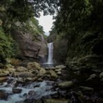 tharaka-jayasuriya-P_FuVh64Wus-unsplash